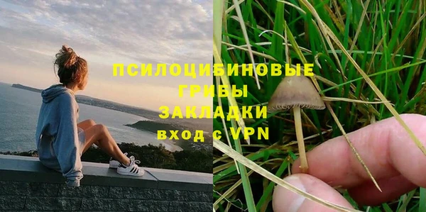 стафф Алзамай