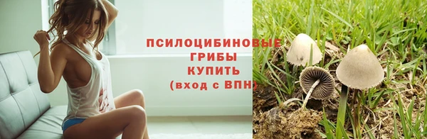 сатива Абдулино
